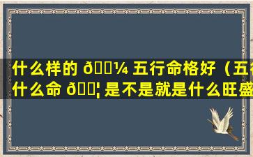 什么样的 🐼 五行命格好（五行什么命 🐦 是不是就是什么旺盛）